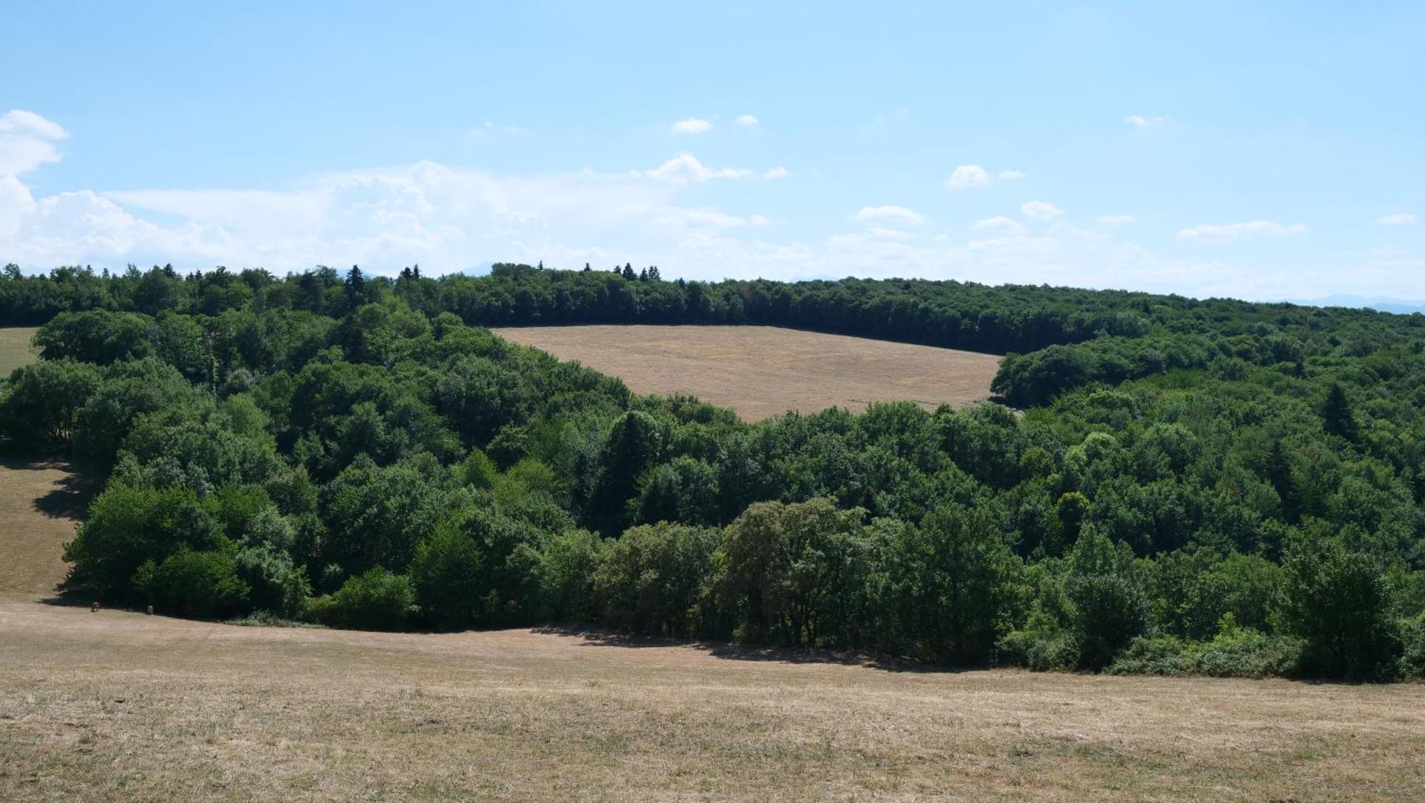 Maison Avec Vue Sur Le Lac De Montbel Esterno foto