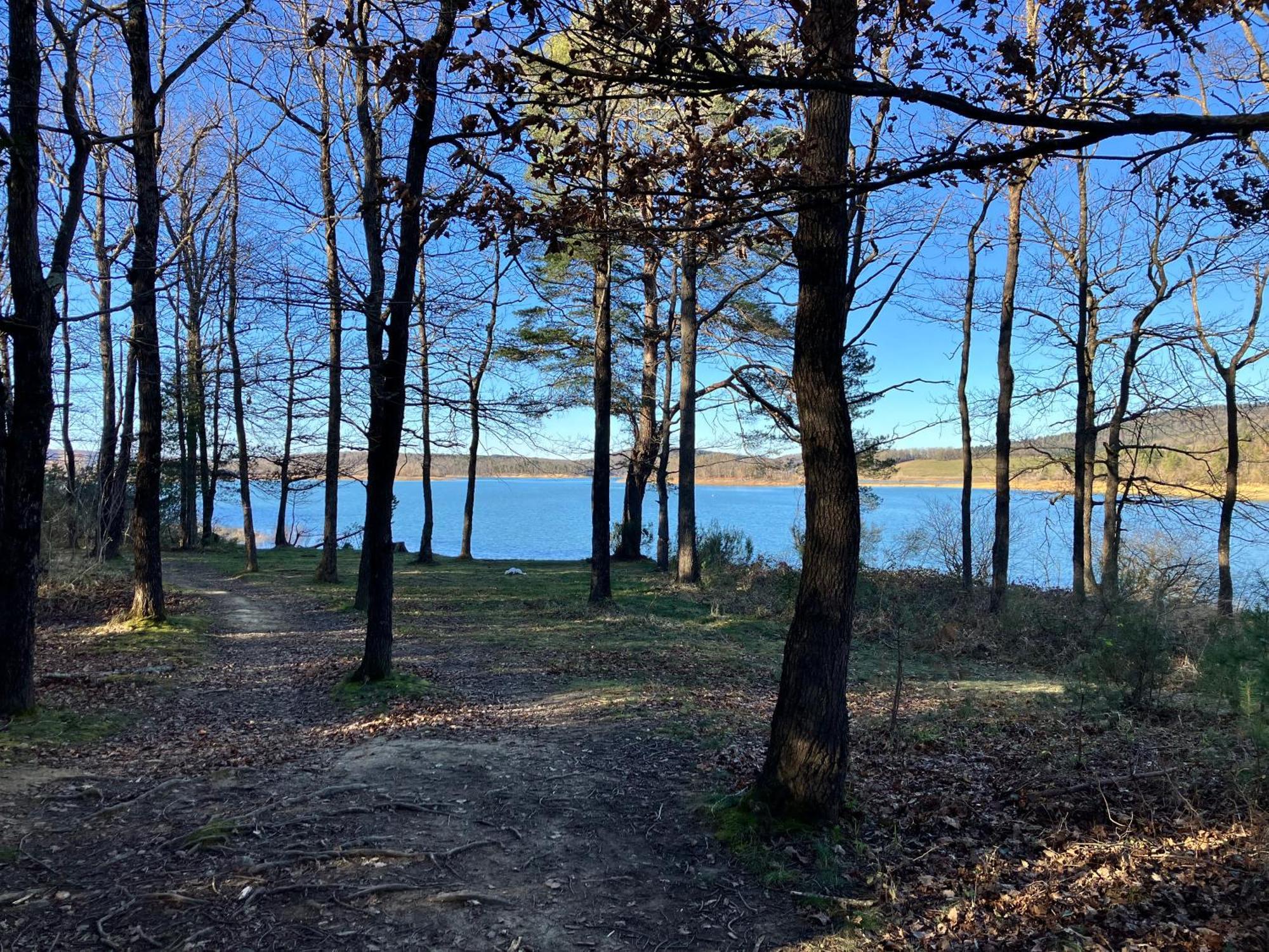 Maison Avec Vue Sur Le Lac De Montbel Esterno foto